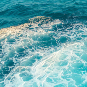 Practitioner Members